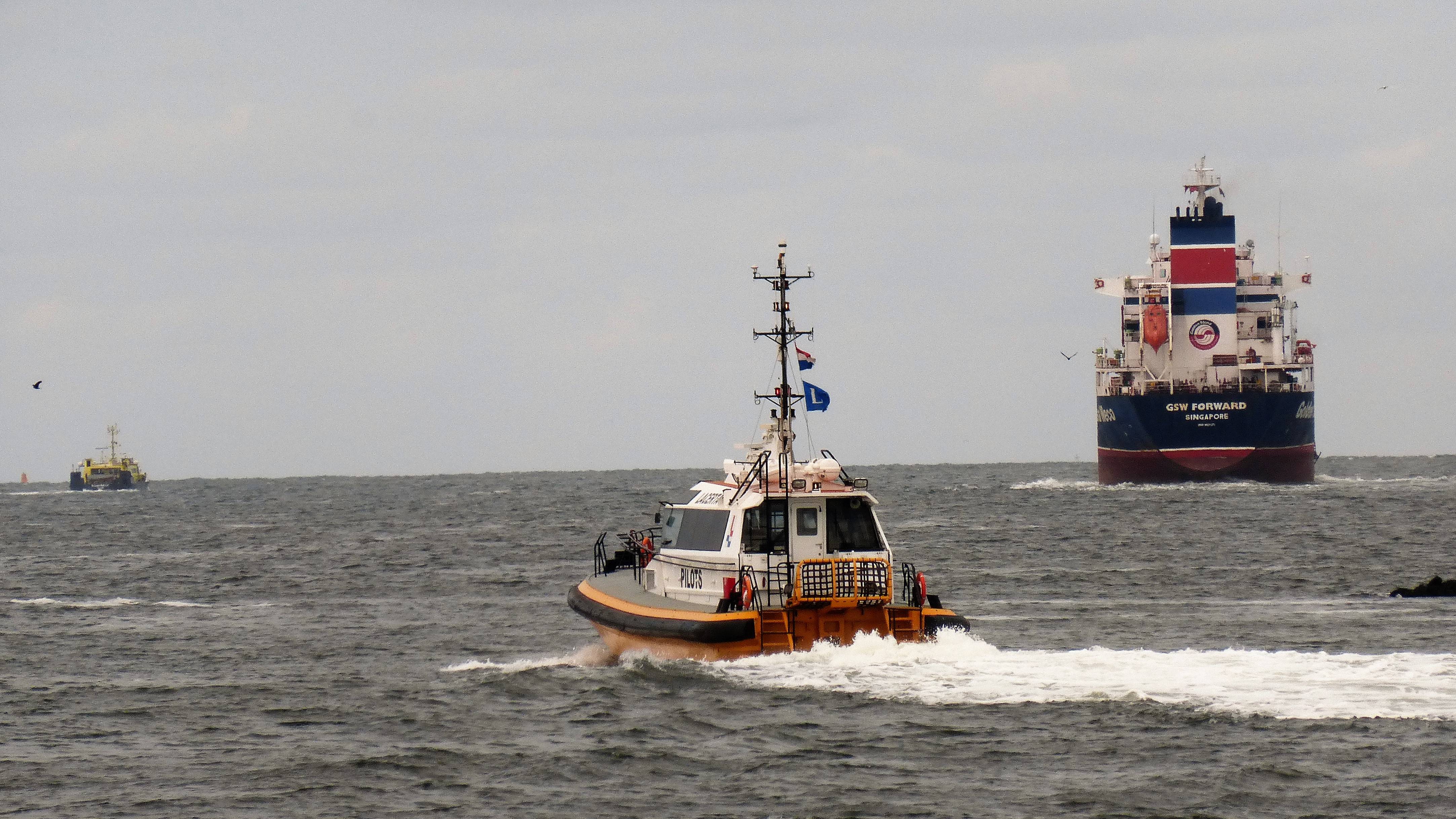 Pieren IJmuiden   10-09-18-1 